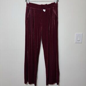EXPRESS Pull-On Wide Leg Velvet Pants Women’s Size M Pleated Front Pocket New